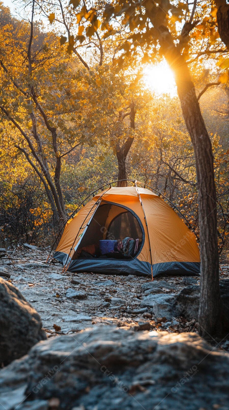 Tenda de camping laranja na floresta dourada ao nascer do sol