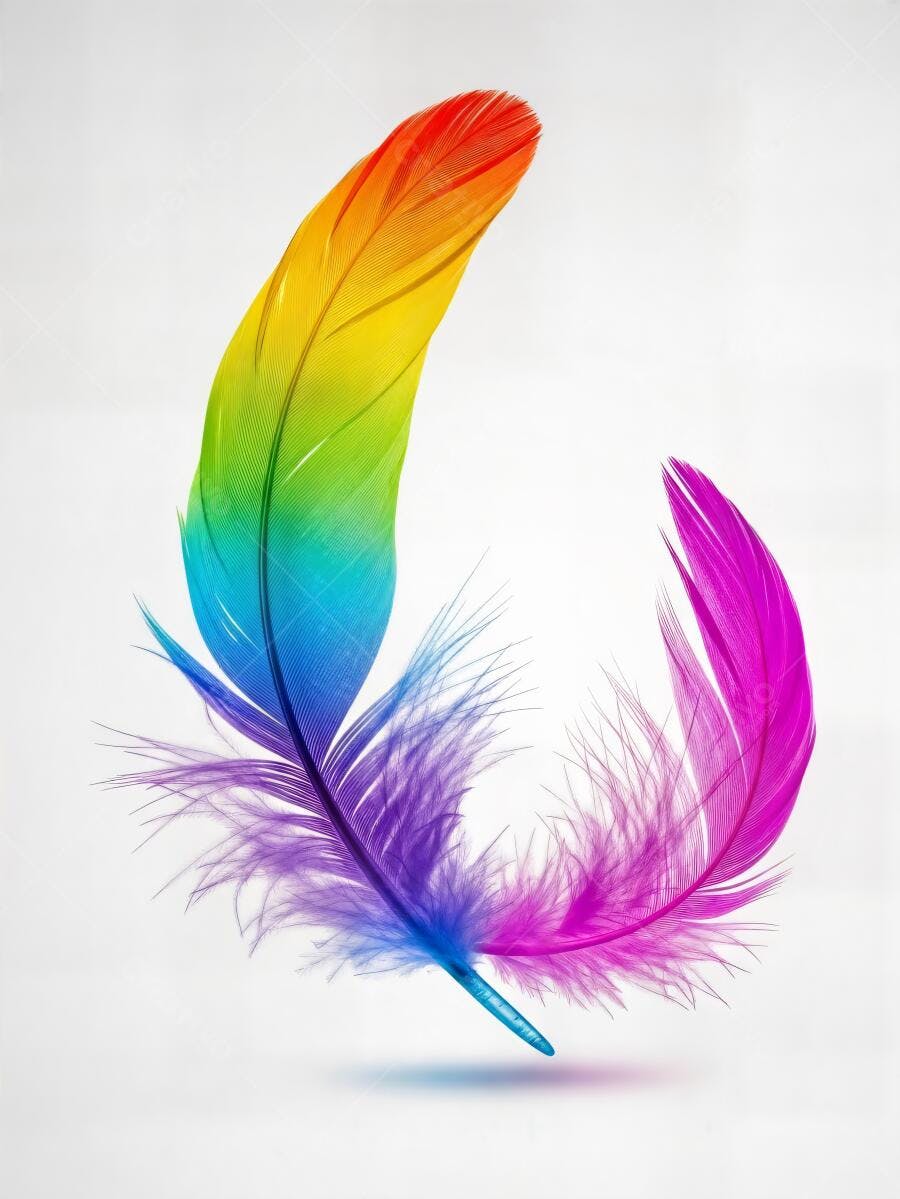 Pena arco iris e pena magenta roxa vibrantes fundo branco