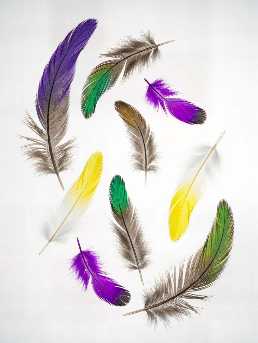 Penas coloridas de pássaros em fundo branco vibrante