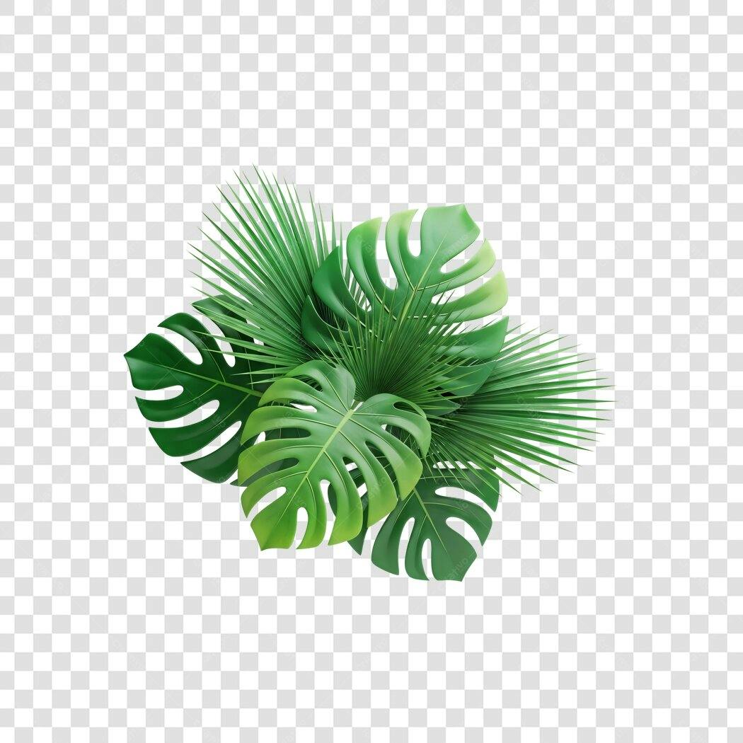 Elemento 3D Folhas Tropicais Monstera Verão PNG Fundo Transparente