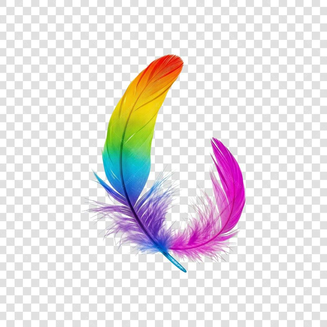 Elemento Decorativo Pena Colorida Arco-Íris PNG Fundo Transparente