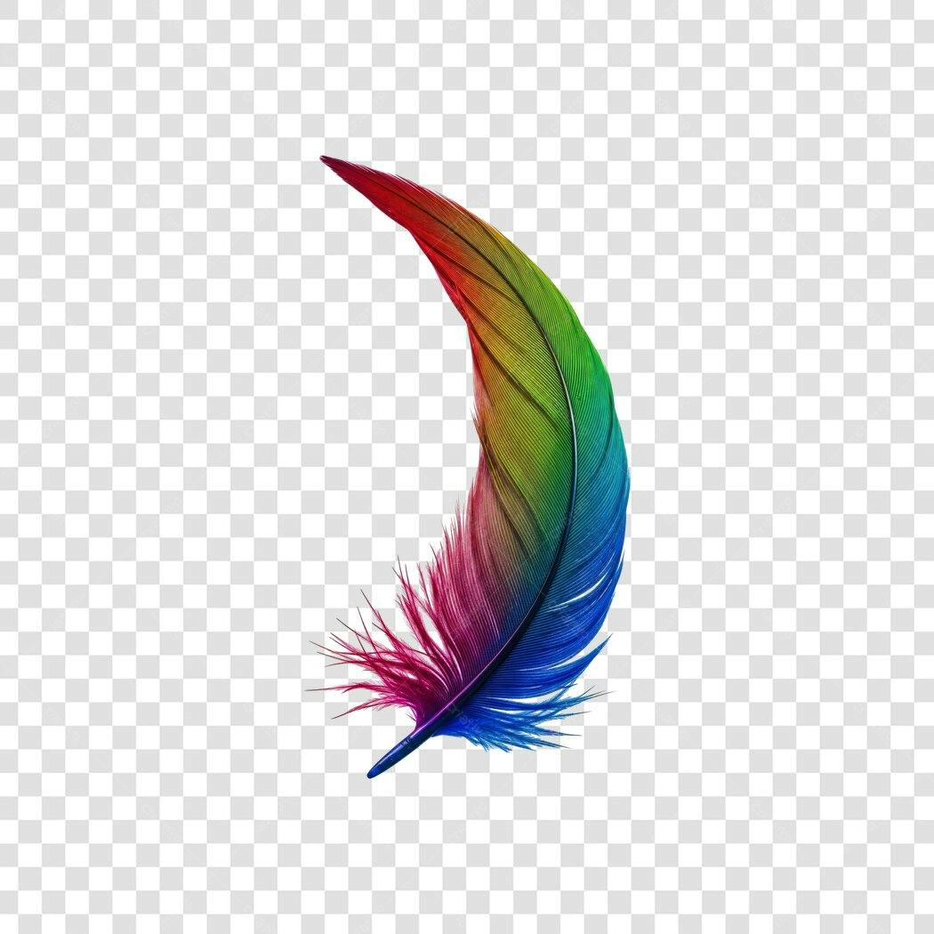 Ilustração Pena Colorida Arco-Íris PNG Fundo Transparente