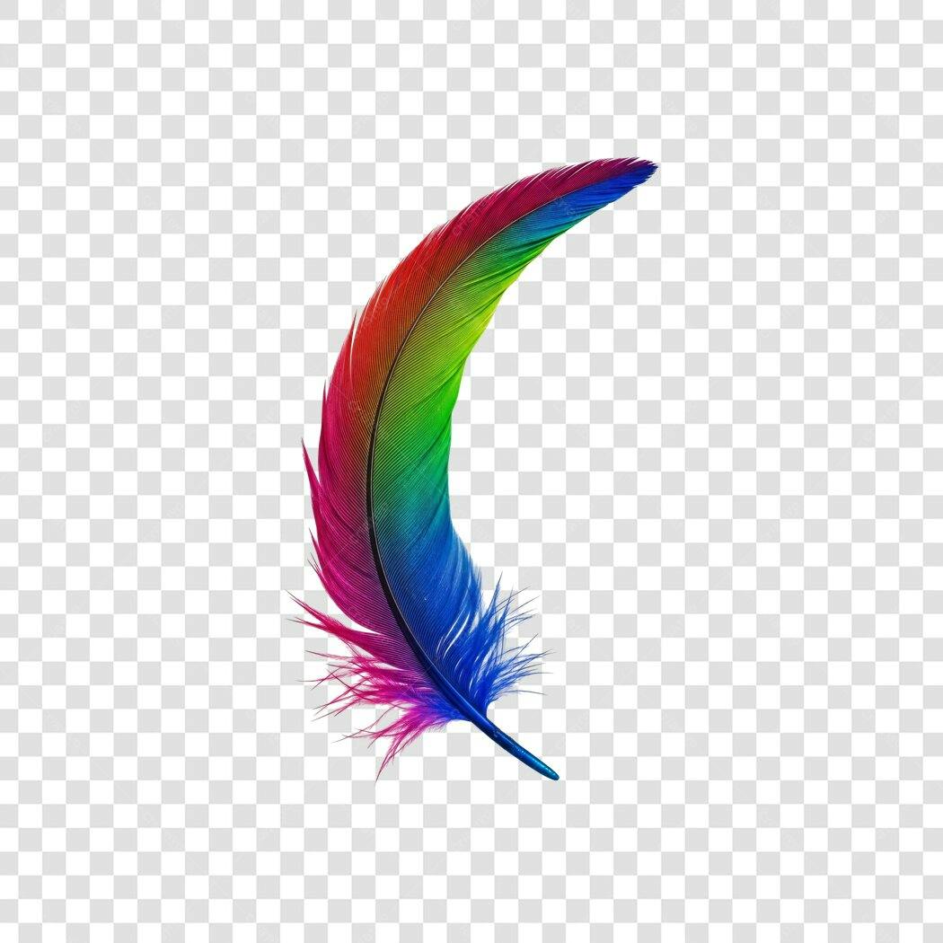 Foto Recortada Pena Colorida Arco-Íris PNG Fundo Transparente