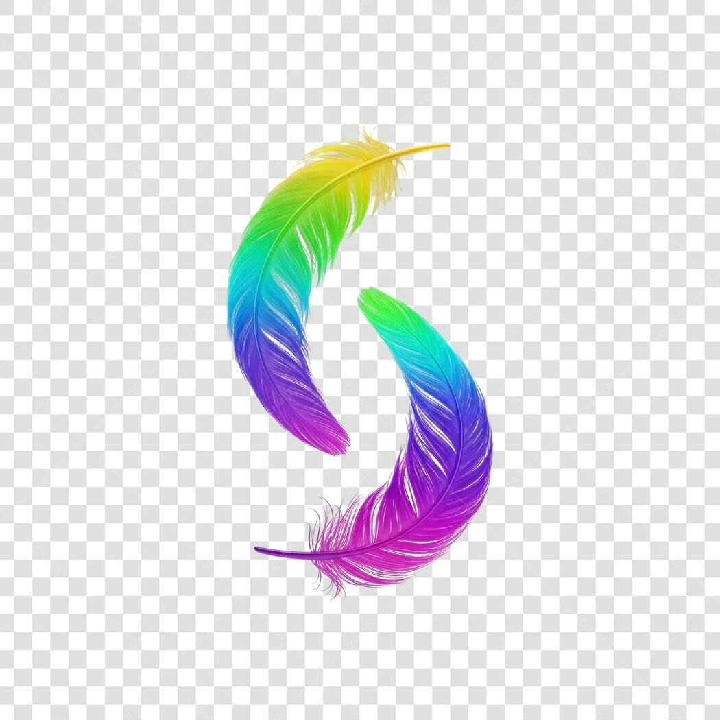 Elemento Decorativo Penas Coloridas Realistas PNG Fundo Transparente