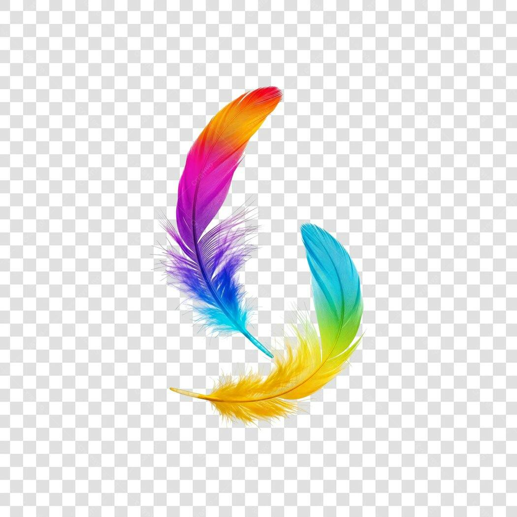Elemento Decorativo Penas Coloridas Vibrantes PNG Fundo Transparente
