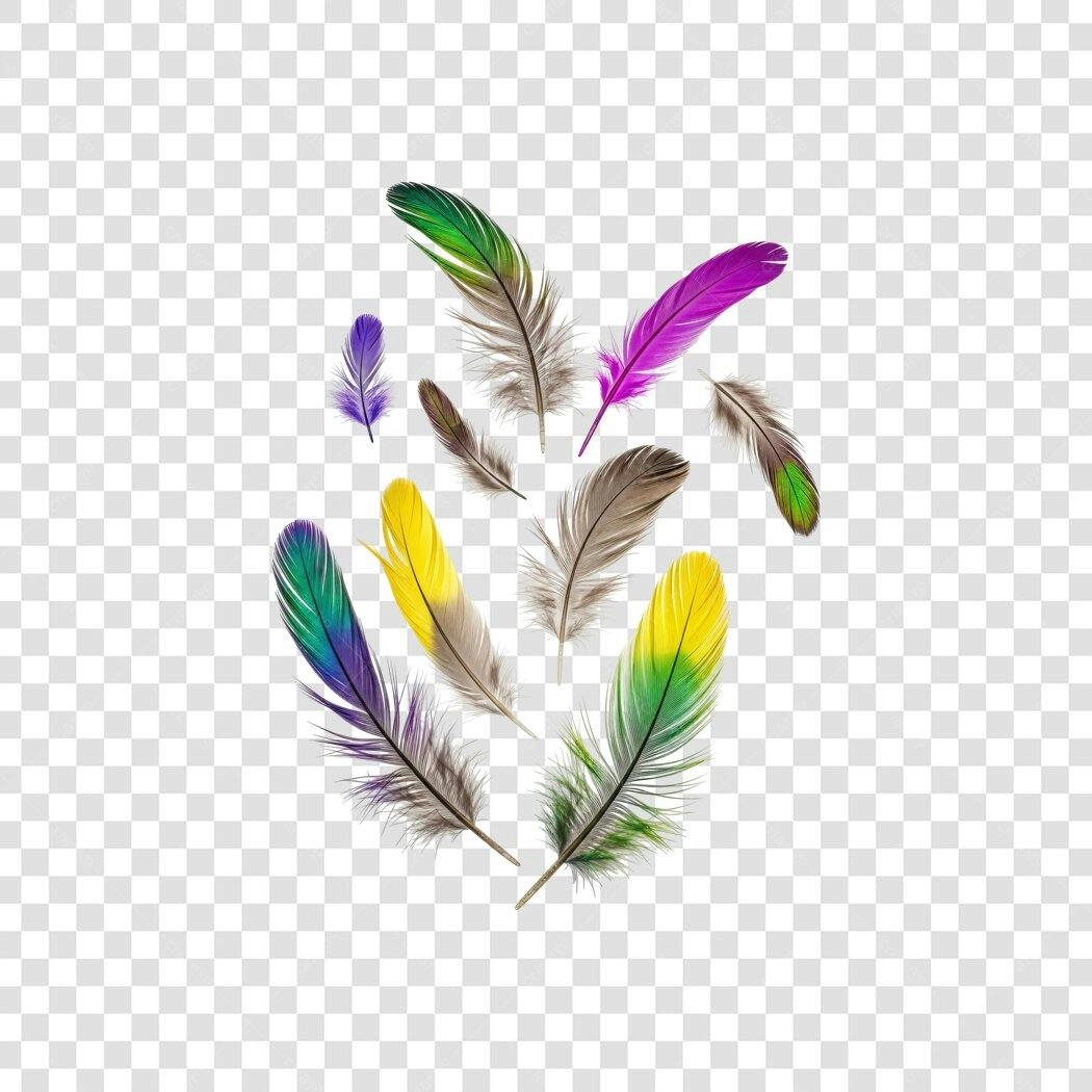 Elemento Decorativo Penas Coloridas Flutuantes PNG Fundo Transparente