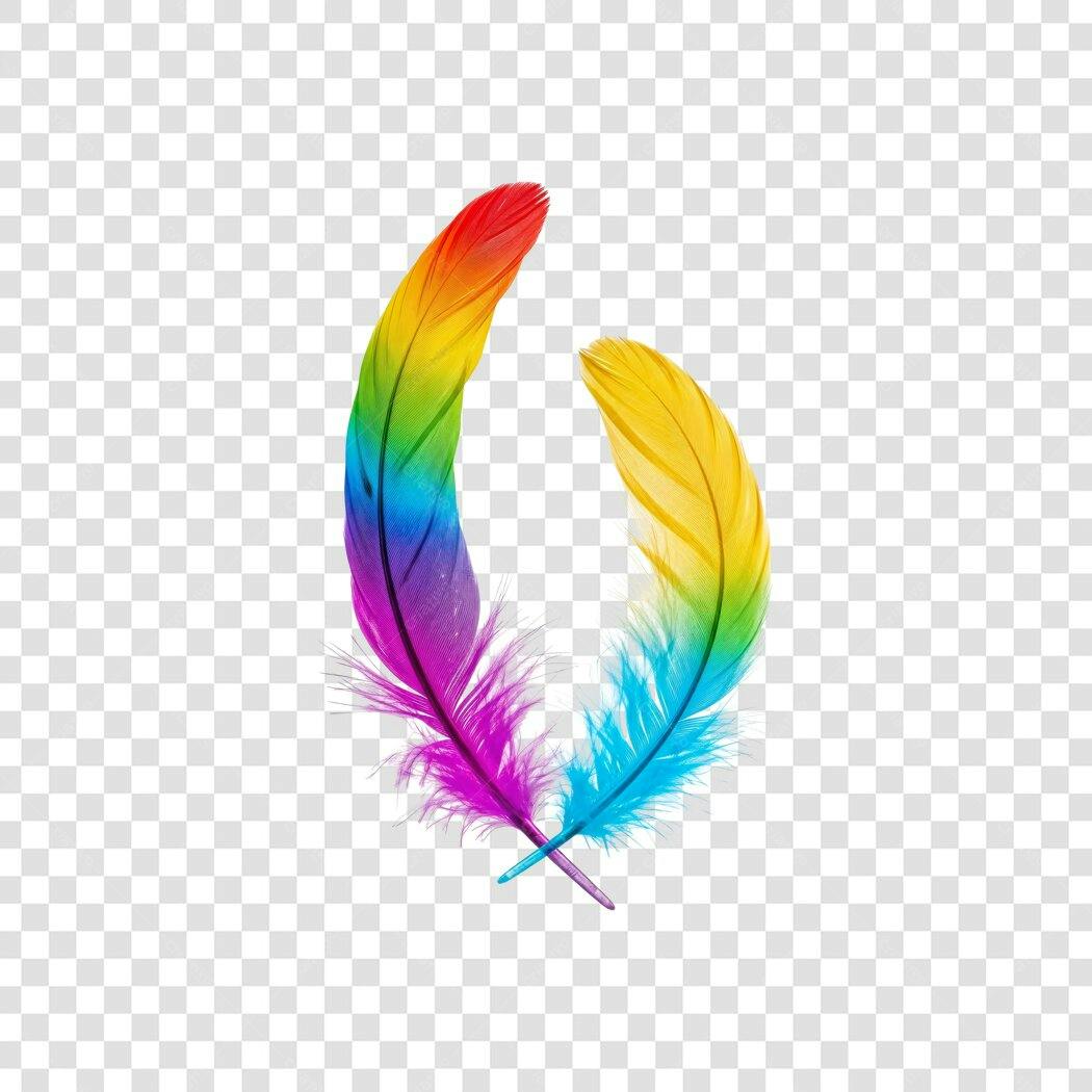 Foto Recortada Penas Coloridas Arco-Íris PNG Fundo Transparente