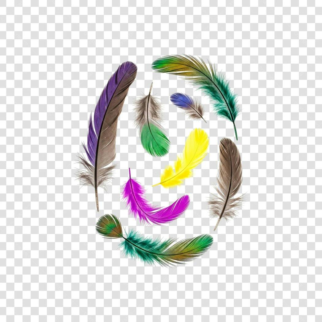 Foto Recortada Penas Coloridas Flutuando PNG Fundo Transparente