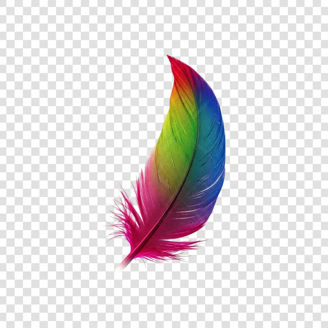 Elemento Decorativo Pena Colorida Arco-Íris PNG Fundo Transparente