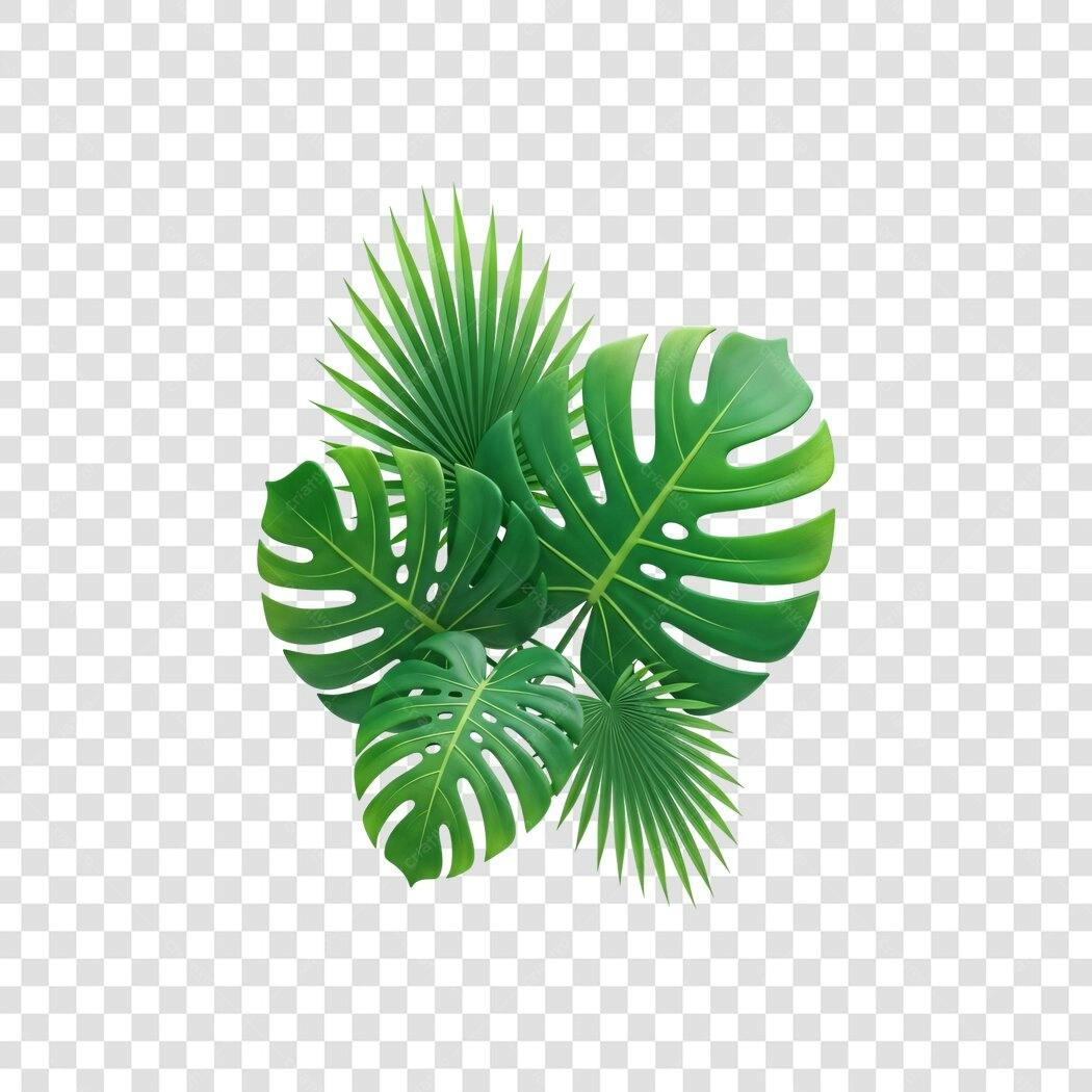 Foto Recortada Folhas Tropicais Verdes Verão PNG Fundo Transparente
