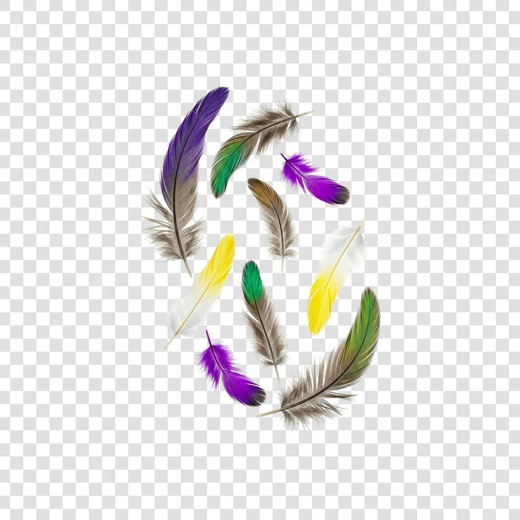 Foto Recortada Penas Coloridas Flutuando PNG Fundo Transparente