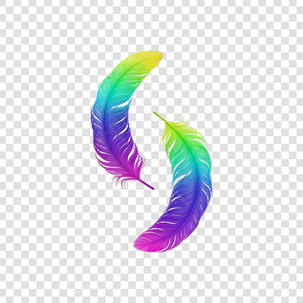 Elemento Decorativo Penas Coloridas Vibrantes PNG Fundo Transparente