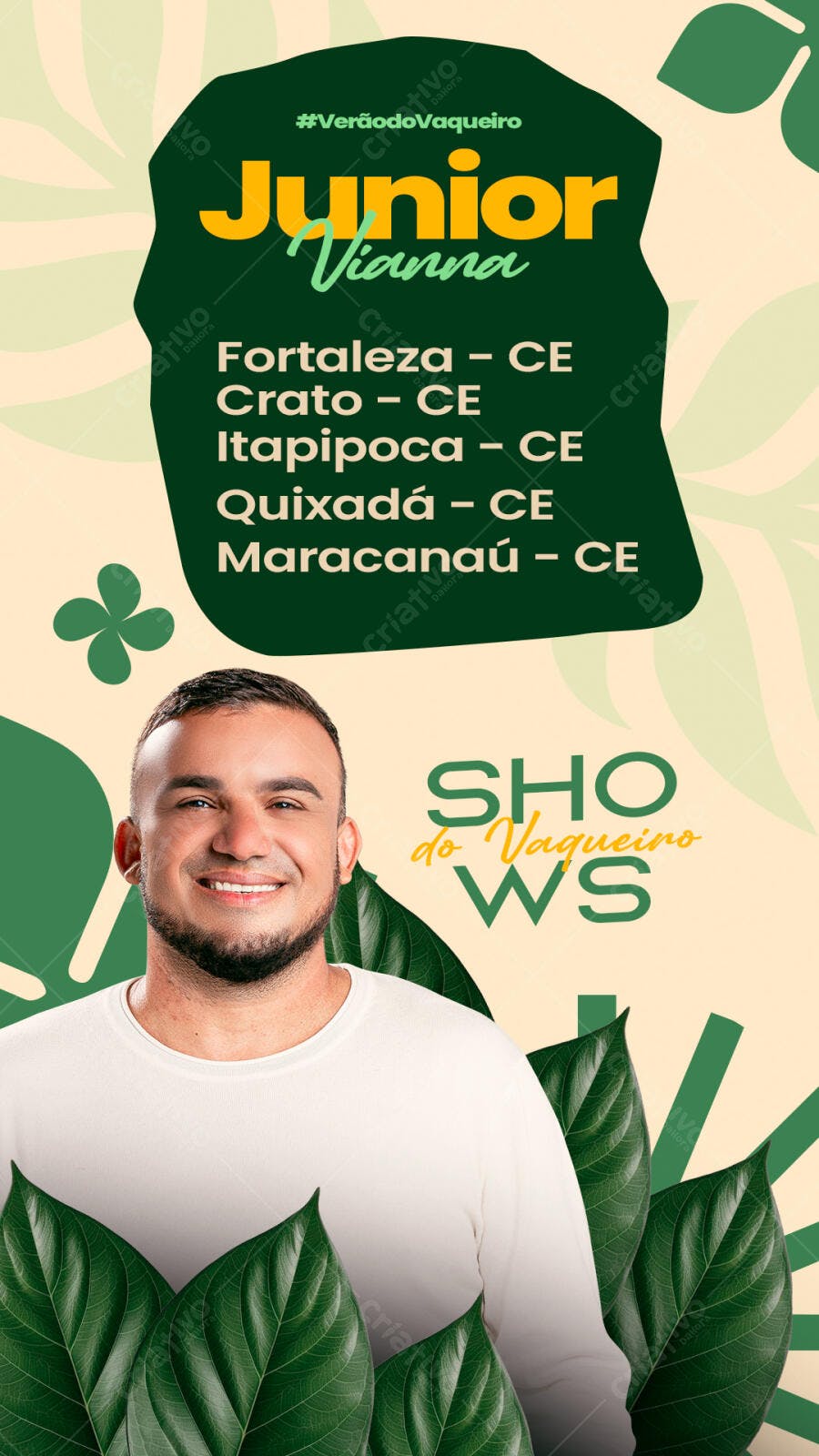 Story Instagram Shows Verão do Vaqueiro PSD Editável