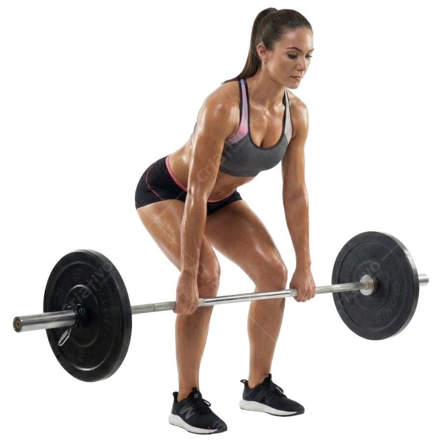 Foto Recortada Mulher Levantando Peso Academia PNG Fundo Transparente