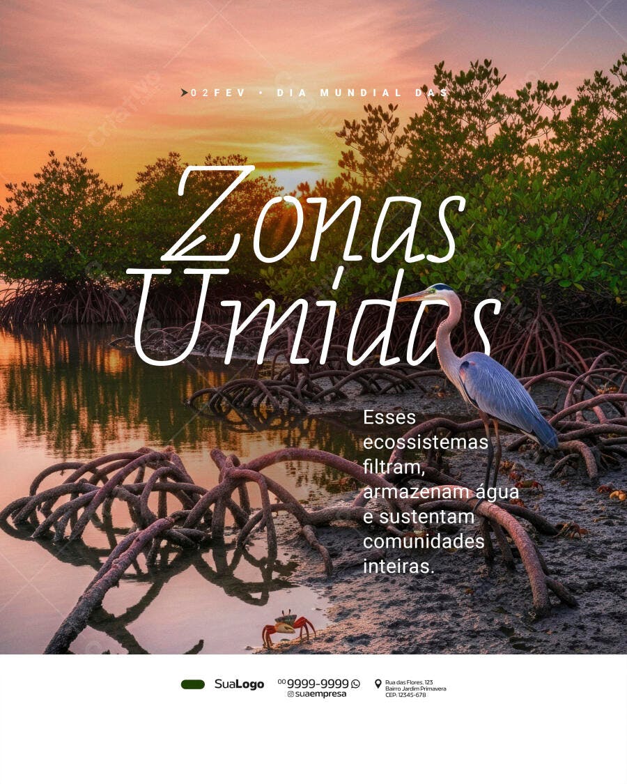 Post Dia Mundial Zonas Úmidas Natureza PSD Editável