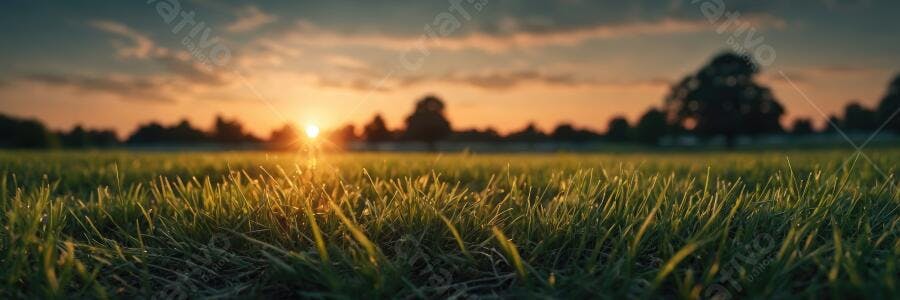 Foto Campo de Grama Verde Pôr do Sol Dourado Natureza