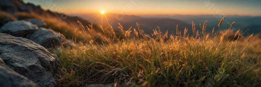 Foto Pôr do Sol Montanha Grama Dourada Natureza