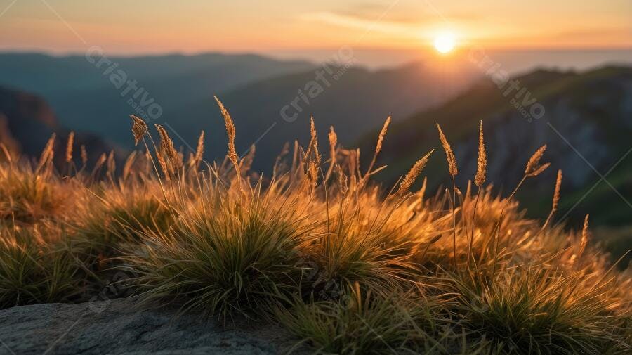 Foto Pôr do Sol Montanhas Grama Dourada Natureza