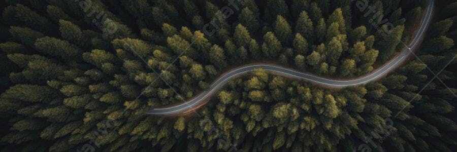 Foto Aérea Estrada Serpentina Floresta Verde Escura