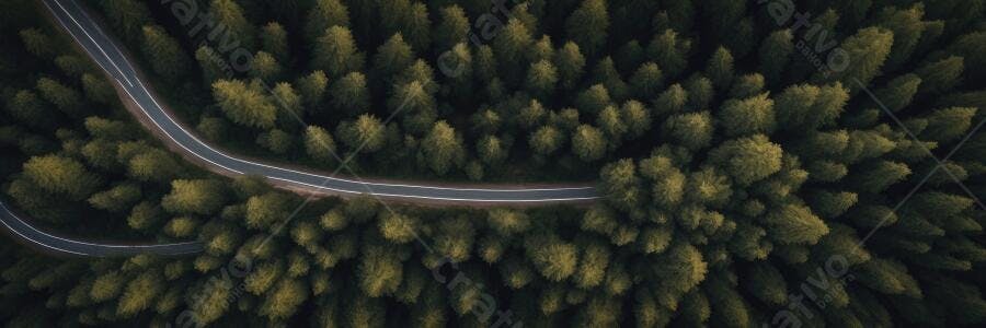 Foto Aérea Estrada Curva Floresta Verde Escura