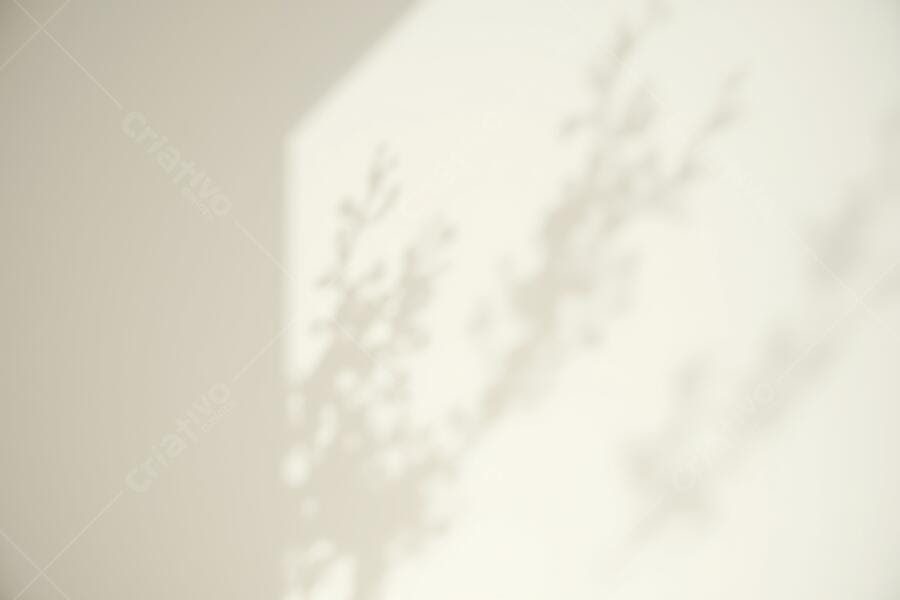 Foto Sombra Folhas Parede Branca Luz Natural Minimalista