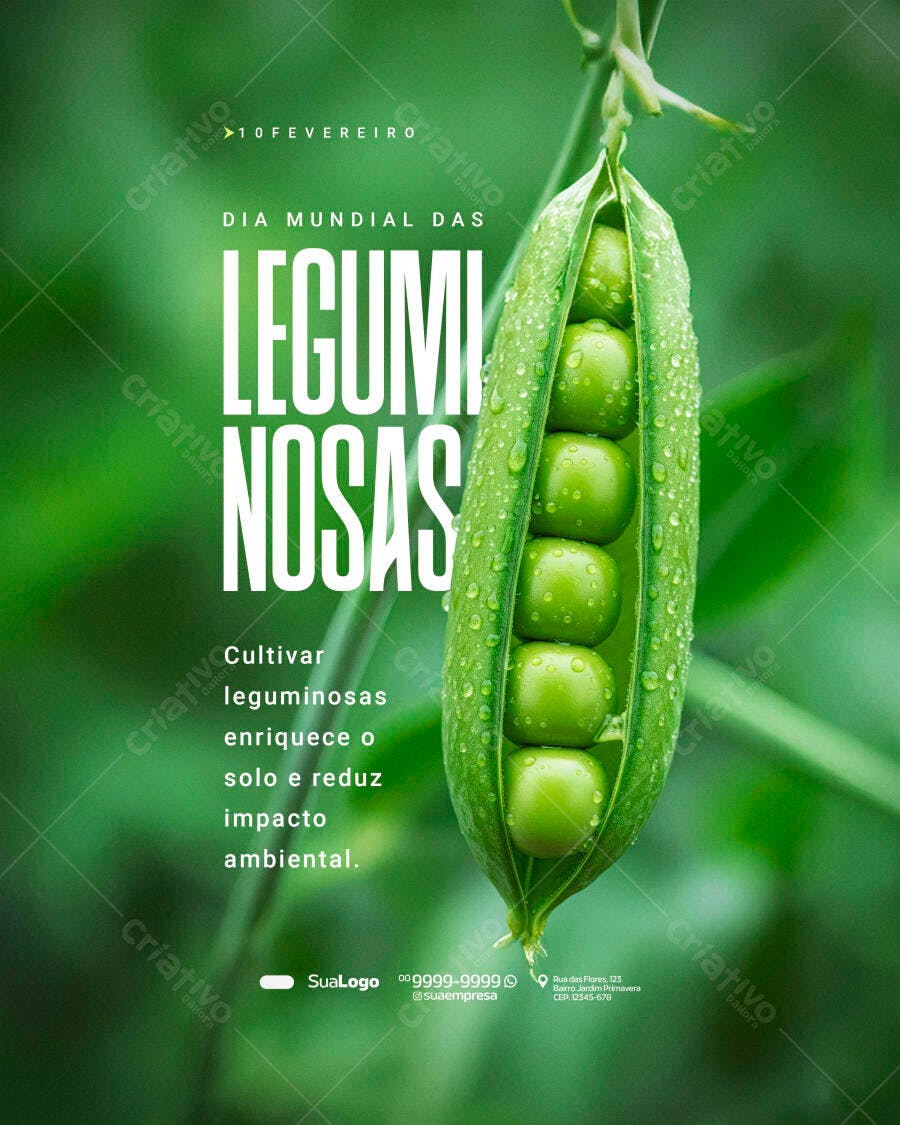 Post Instagram Dia Mundial Leguminosas Saúde PSD Editável
