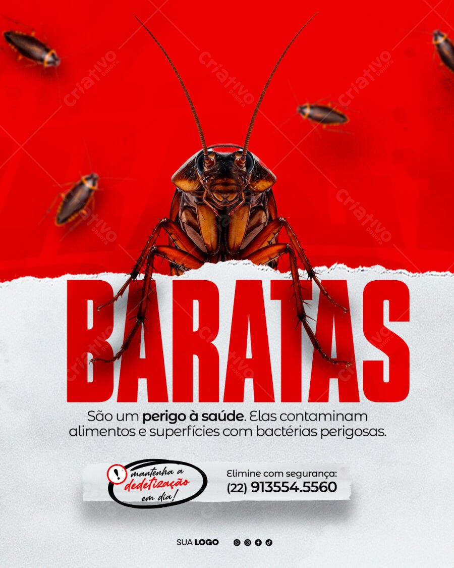 Post Instagram Dedetização Baratas PSD Editável