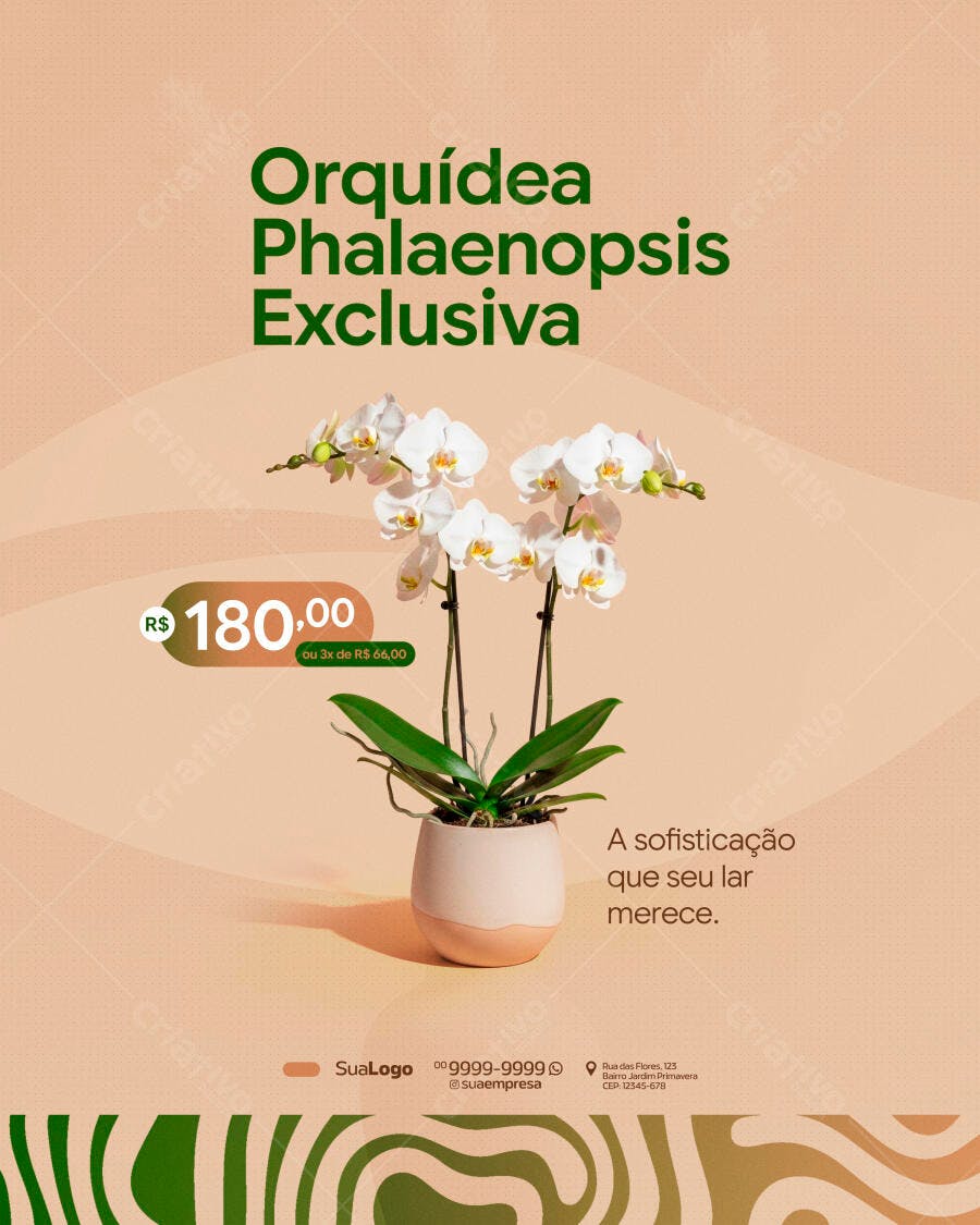 Post Instagram Orquídea Phalaenopsis Floricultura PSD Editável