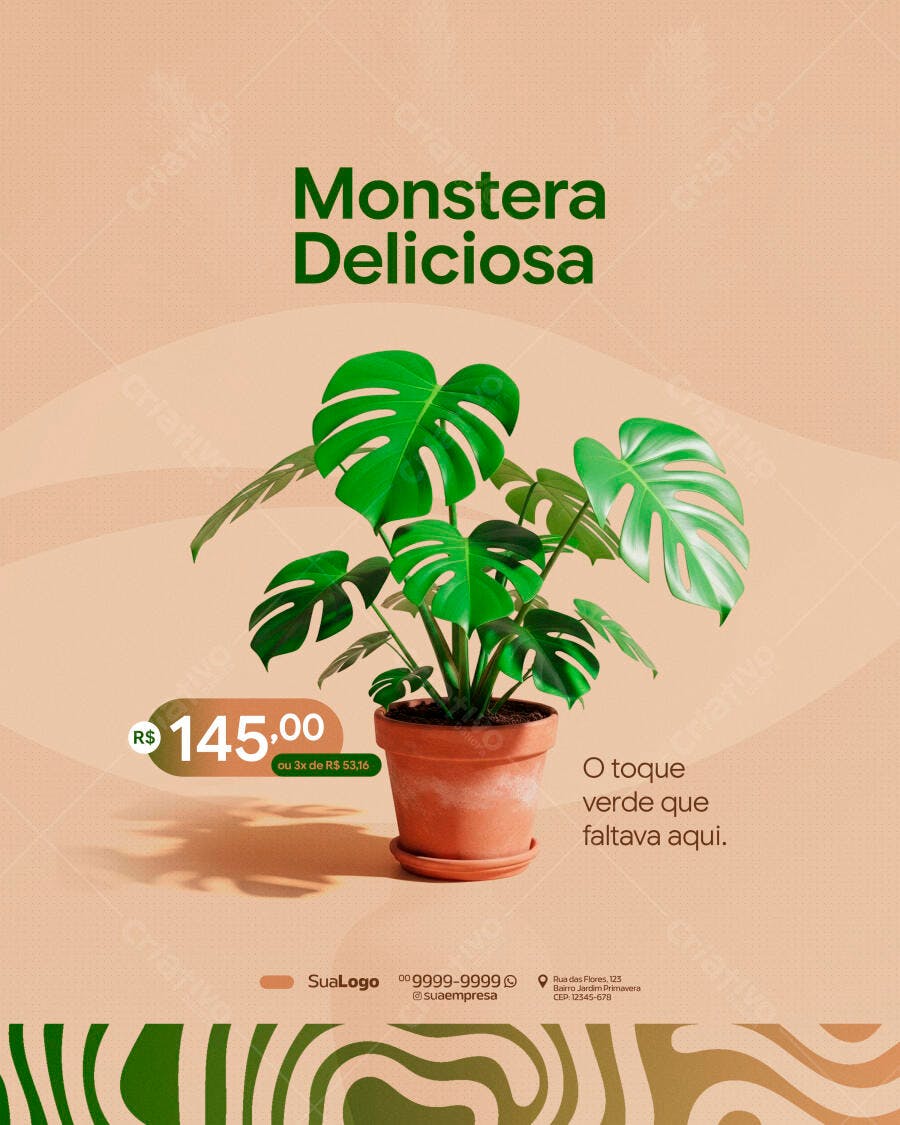 Post Instagram Loja Plantas Monstera Deliciosa PSD Editável