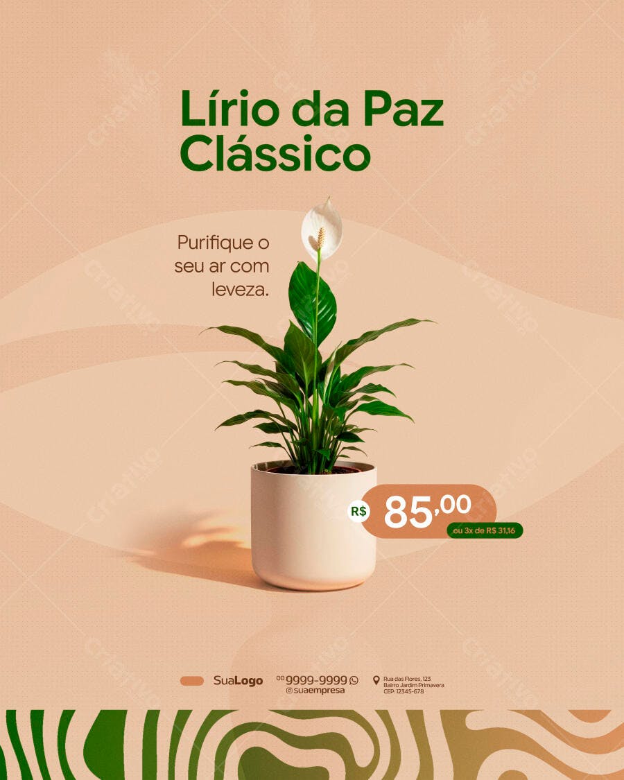 Post Instagram Floricultura Lírio da Paz PSD Editável
