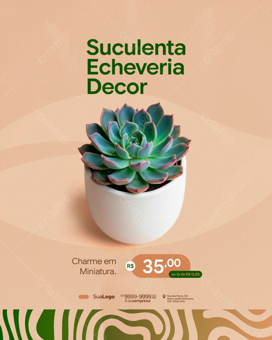 Post Instagram Suculenta Echeveria Decoração PSD Editável