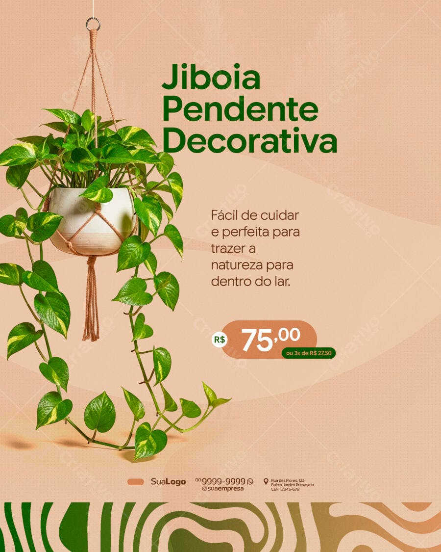 Post Instagram Jiboia Pendente Loja Plantas PSD Editável