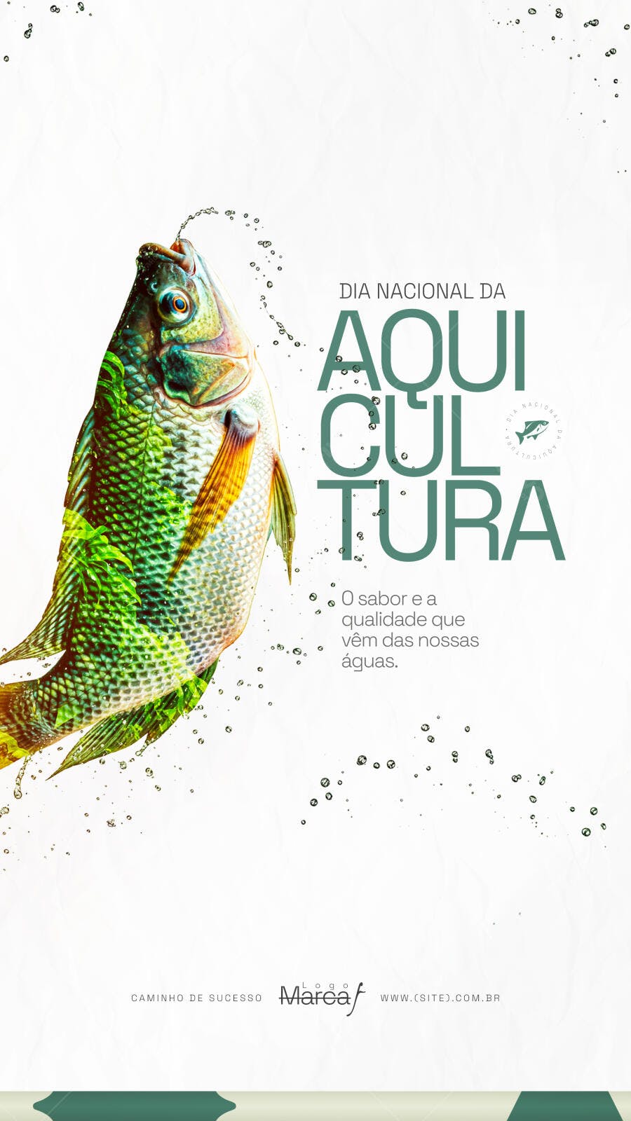Post Dia Nacional da Aquicultura Peixe PSD Editável