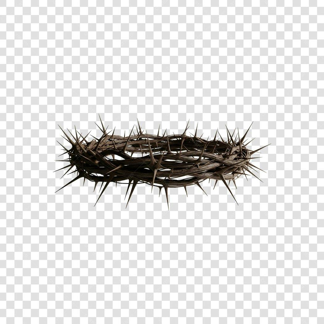 Foto Recortada Coroa de Espinhos Páscoa PNG Fundo Transparente