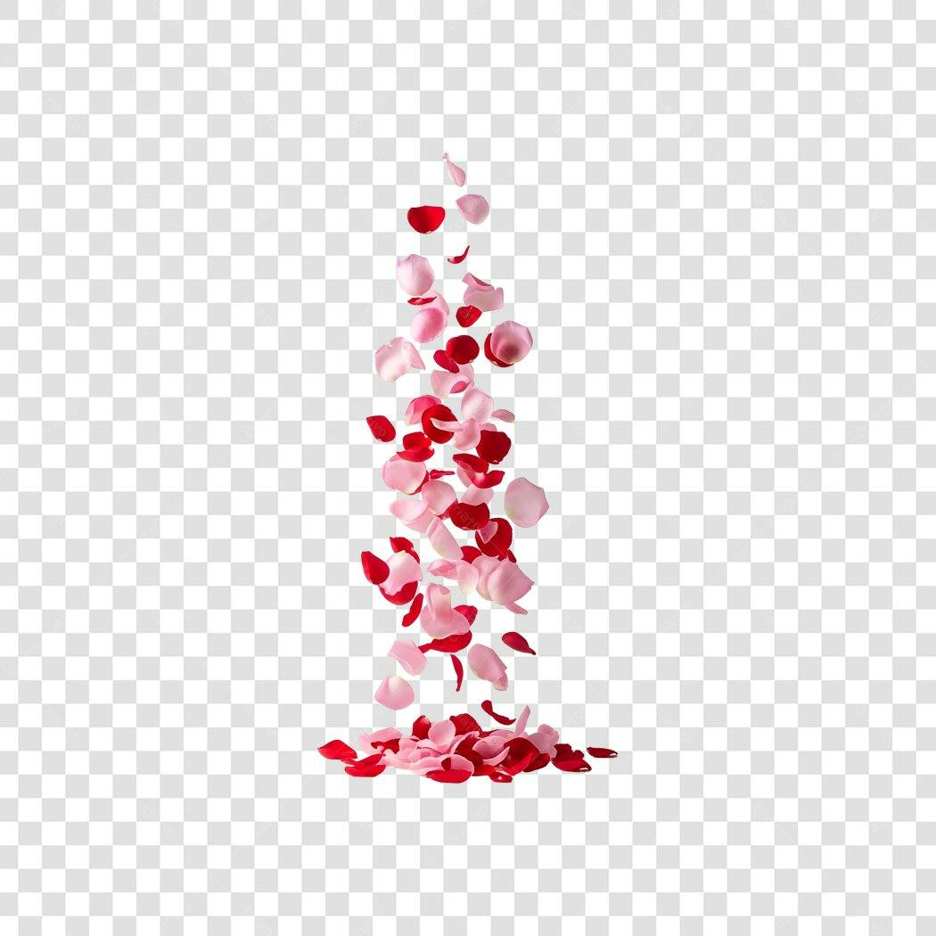 Elemento Decorativo Pétalas de Rosas Caindo Vermelhas e Rosas PNG Fundo Transparente