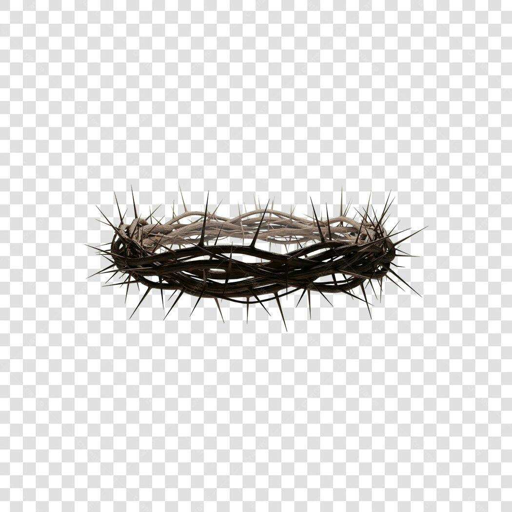 Foto Recortada Coroa de Espinhos Páscoa PNG Fundo Transparente