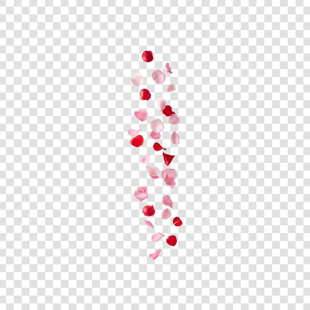 Elemento Decorativo Pétalas de Rosa Cair Vermelhas e Rosas PNG Fundo Transparente