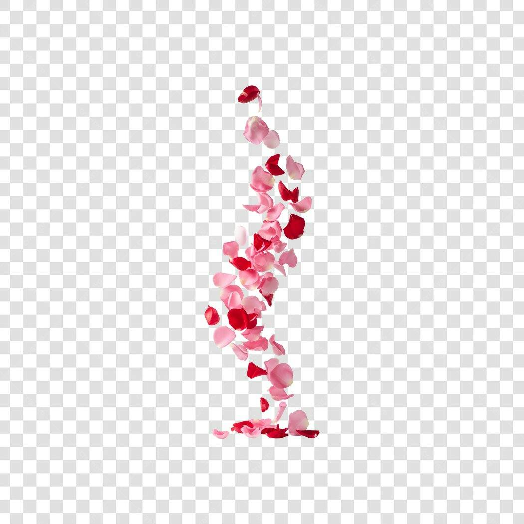 Elemento Decorativo Pétalas Rosas Vermelhas Flutuando PNG Fundo Transparente