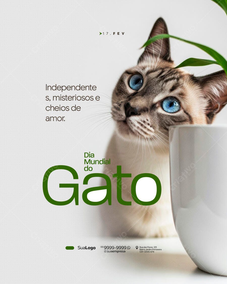 Post Instagram Dia Mundial do Gato Pet Shop PSD Editável