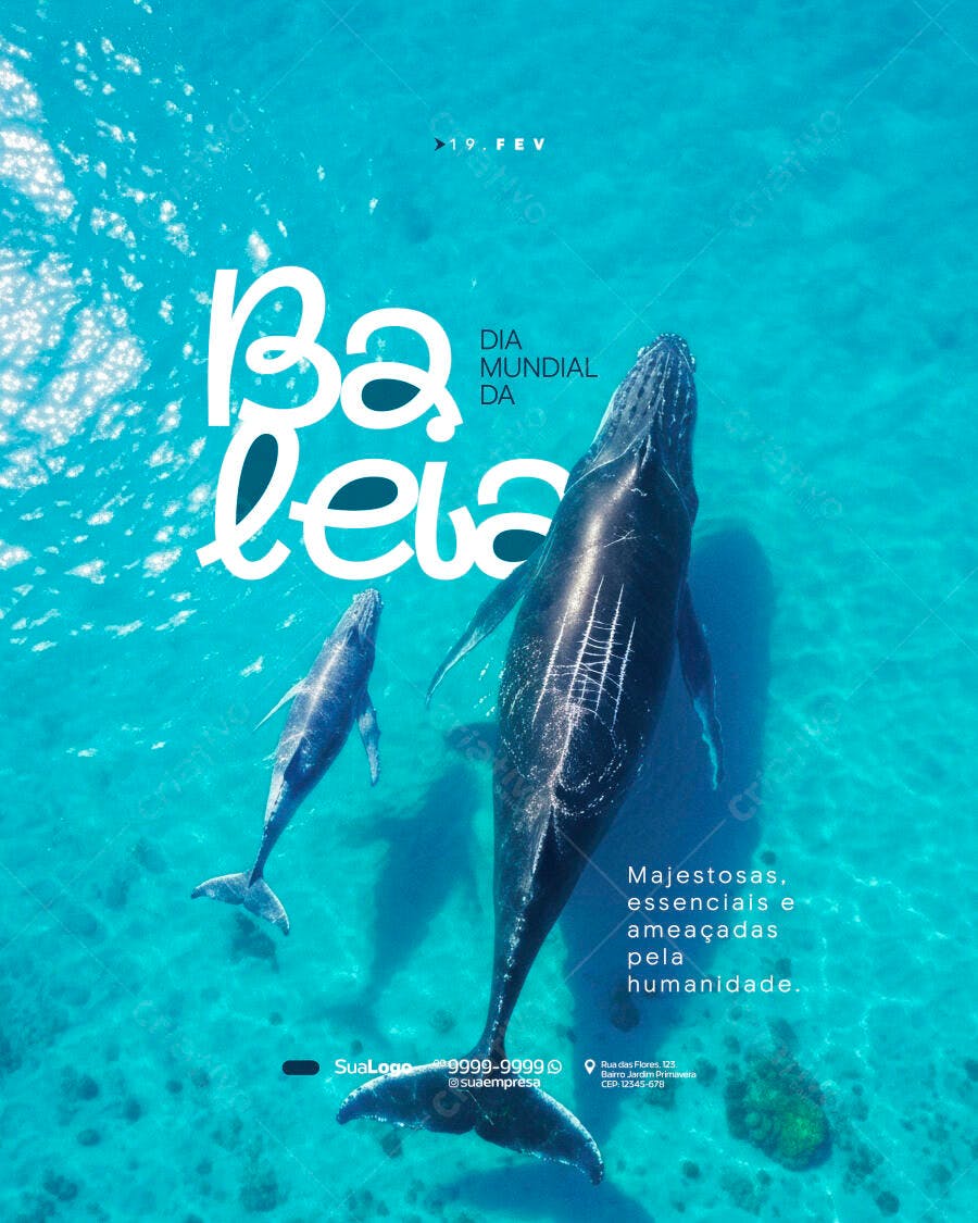 Post Instagram Dia Mundial da Baleia Fevereiro PSD Editável