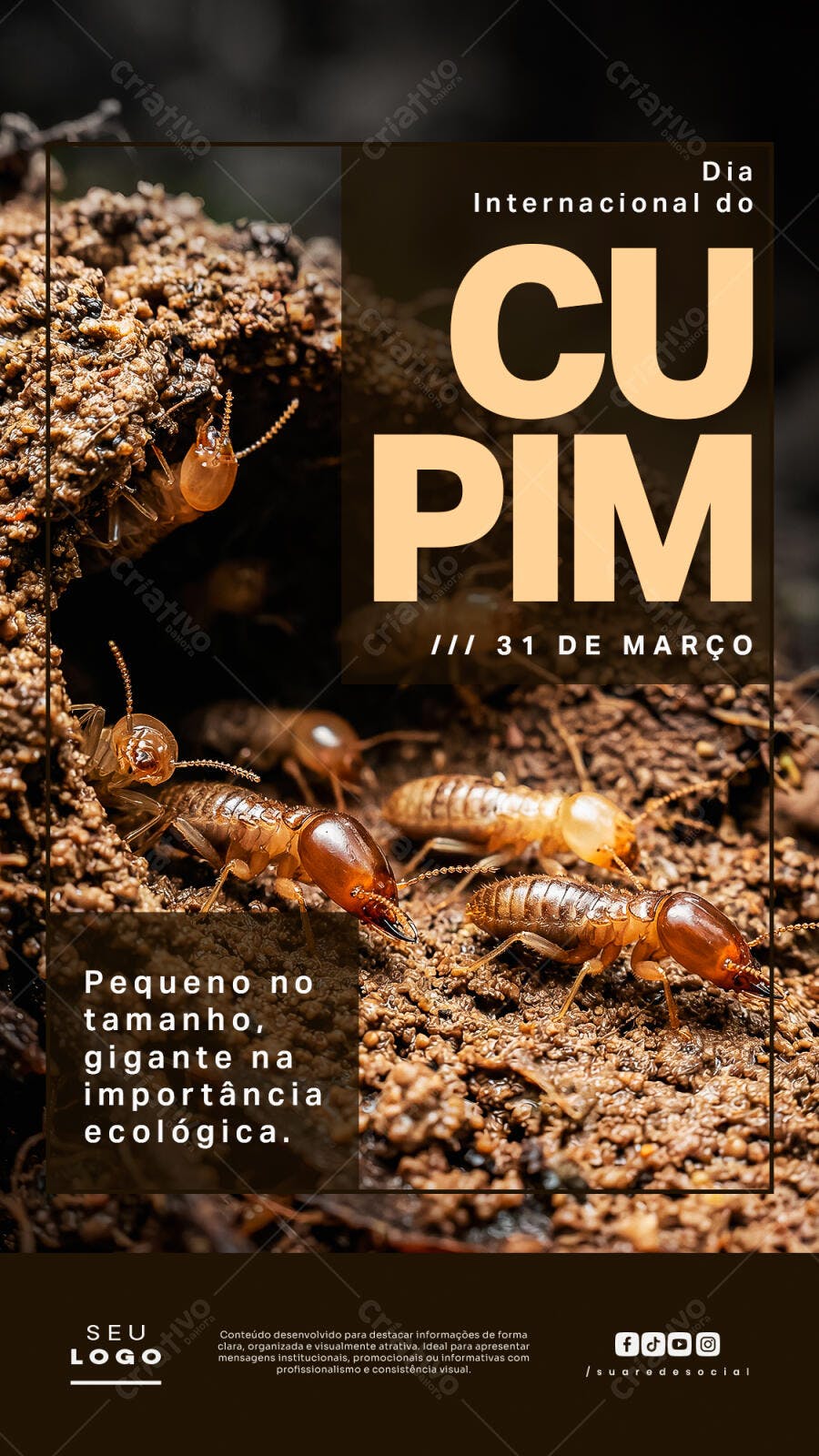 Story Instagram Dia Internacional do Cupim 31 de Março PSD Editável