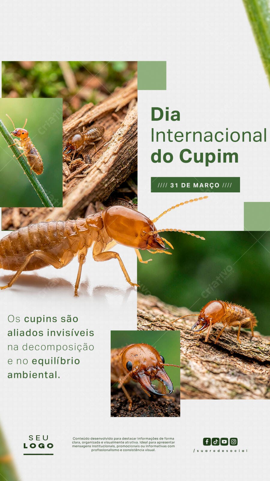 Post Instagram Dia Internacional do Cupim 31 de Março PSD Editável