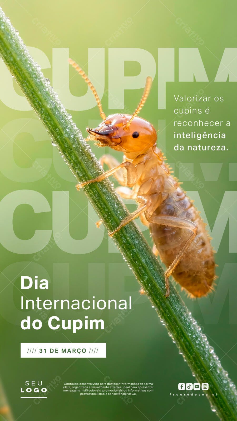 Post Instagram Dia Internacional do Cupim 31 de Março PSD Editável