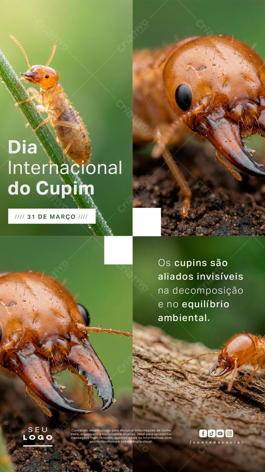 Post Instagram Dia Internacional do Cupim 31 de Março PSD Editável