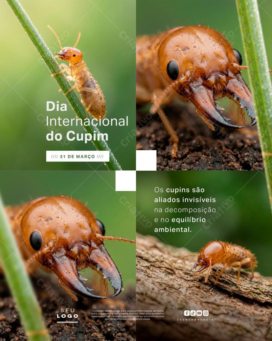 Post Instagram Dia Internacional do Cupim 31 de Março PSD Editável
