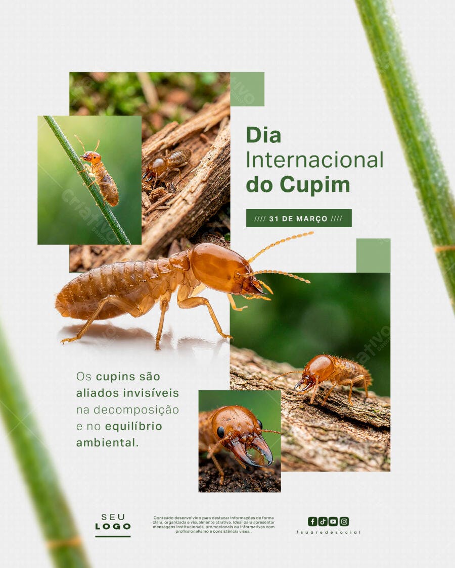 Post Dia Internacional do Cupim 31 de Março PSD Editável