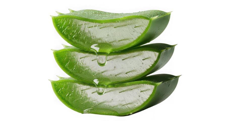 Foto Aloe Vera Folhas Cortadas Gel Escorrendo Fundo Branco
