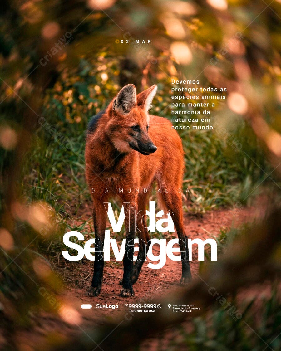 Post Instagram Dia Mundial Vida Selvagem PSD Editável