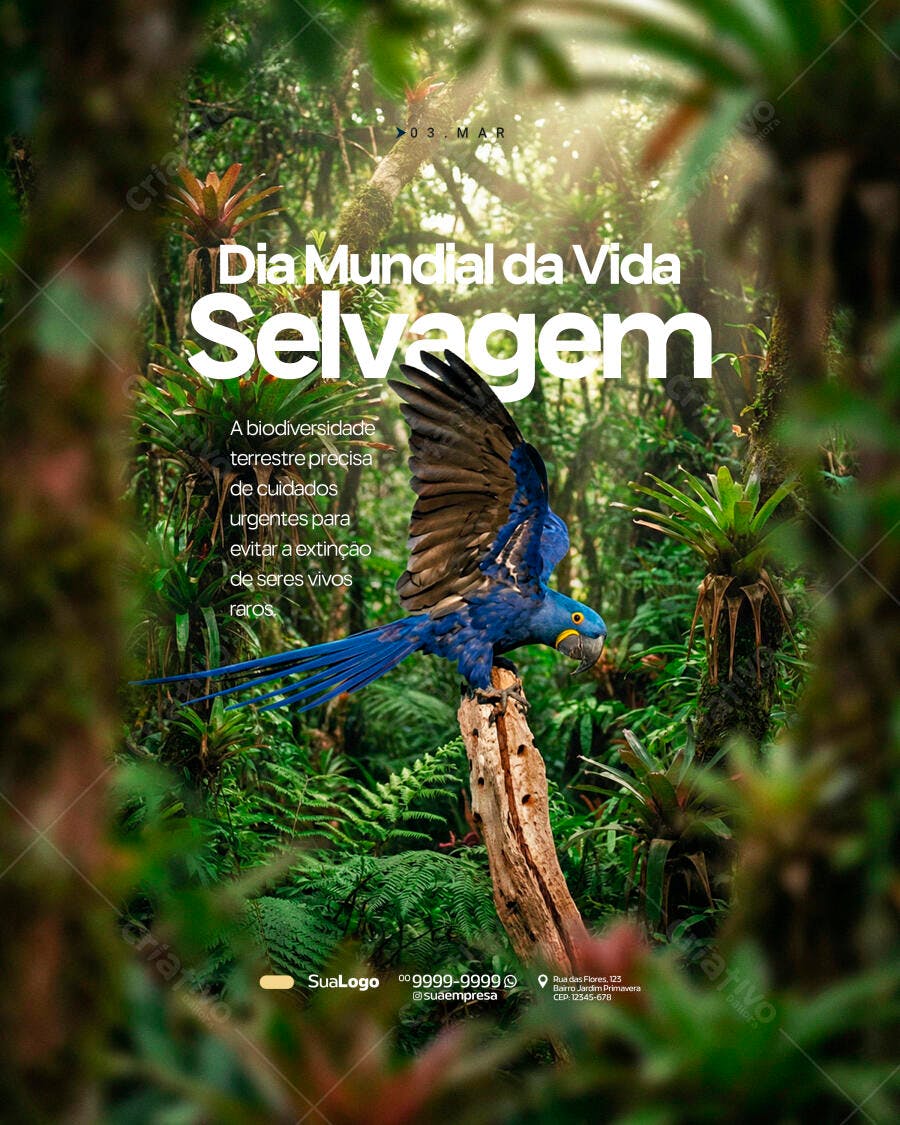 Post Dia Mundial da Vida Selvagem Arara Azul PSD Editável