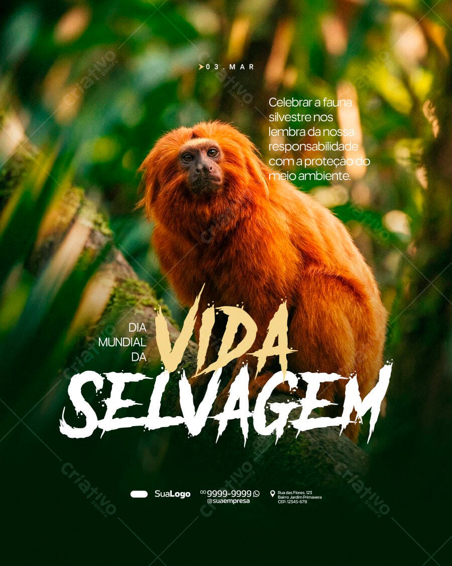 Post Instagram Dia Mundial da Vida Selvagem PSD Editável
